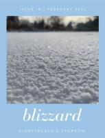 Blizzard cover image