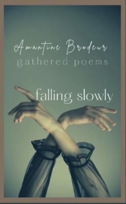 Falling slowly cover image