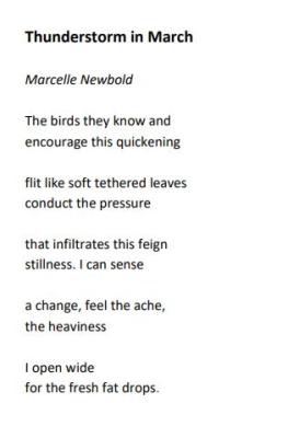 stravaig poem