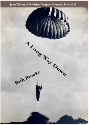 A long way down front cover