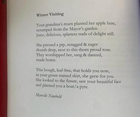 winter visiting