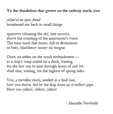 to the dandelion poem
