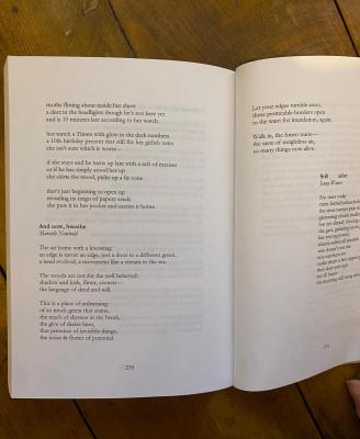 safety in numbers poem